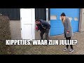 Rotterdamse kippen de nek omgedraaid
