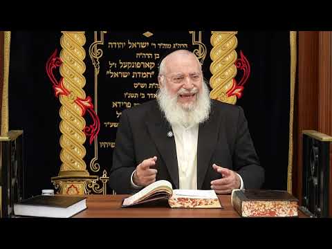 Rosh Hashana on Shabbos | Weekly Shiur by Rav Asher Weiss | 5786