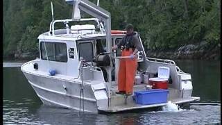 Benthic Management at BC Salmon Farms