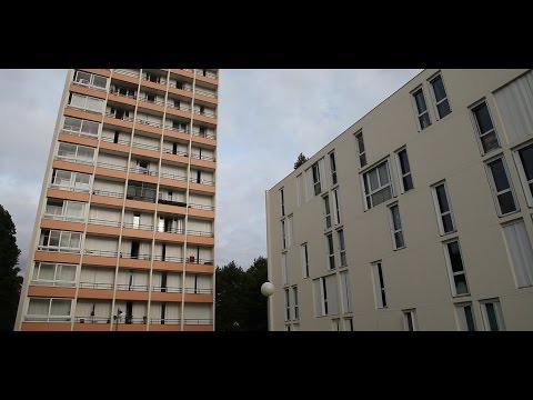 Rami Projet Tour : En Direct de Dammarie-les-Lys - Logirep [LGP] (77190)