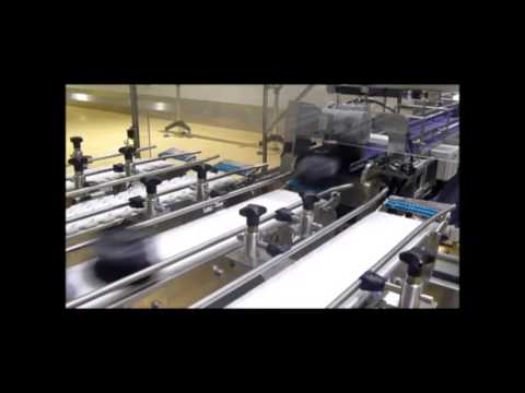 MODU Stainless Steel Conveyor for Proccess Food Handling