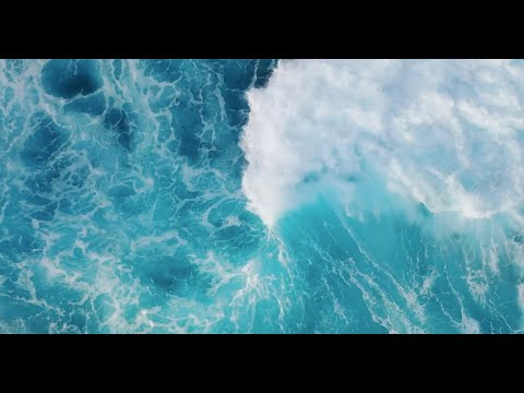 4ocean  - Official World Oceans Day Video