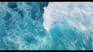 4ocean  - Official World Oceans Day Video