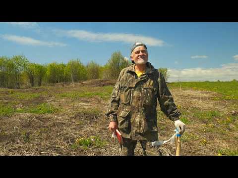 Вперёд, товарищи! На дачу! Выпуск от 19.05.26