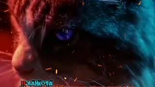 Download lagu Story wa kucing keren terbaru mp3