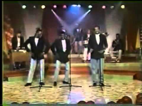 Buscandote Piper pimienta Diaz