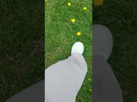 Heaton Park. Manchester  - England                       by    Nesreen Jarrar