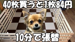 【チワワ・愛犬】ワンちゃんの為に吸着カーペット張替、所要時間10分　簡単激安1枚84円