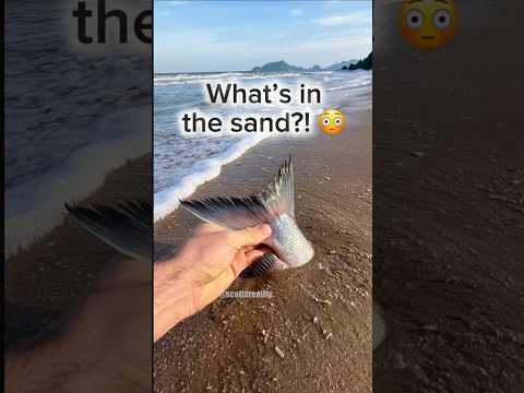 This was bigger than I thought 🐟😳