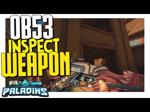 🎮Paladins OB53 Patch PTS► All Champions Inspect Weapon New Feature | MaxLevel Vlogs