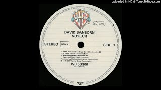 David Sanborn - Let&#39;s Just Say Goodbye 1981 HQ Sound