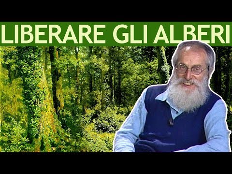 I vermi a galline che trattare Che esso è possibile trattare vermi a donne incinte