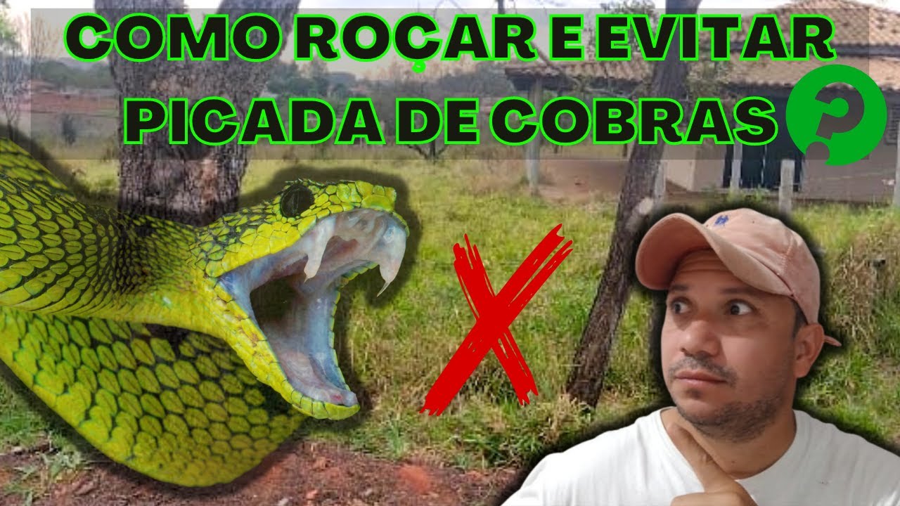 Como ROÇAR e EVITAR Picada de Cobra - Aprenda Passo a Passo a Espantar esse Animal pra bem Longe