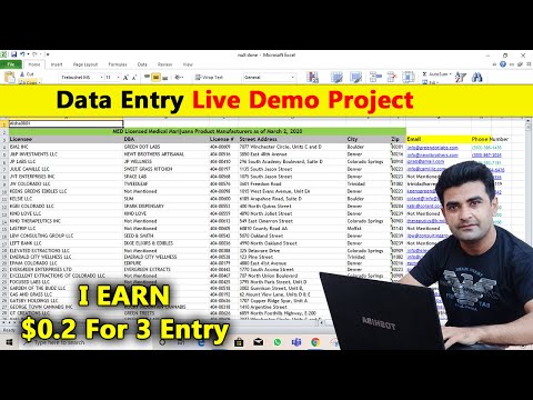 Earn $0.2 for Entry On Upwork | I received Another Data Entry Demo Project From Freelancing