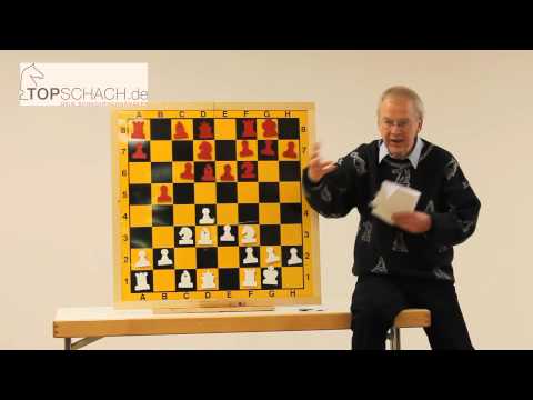 Schachseminar mit GM Helmut Pfleger in Starnberg (11.05.2013)