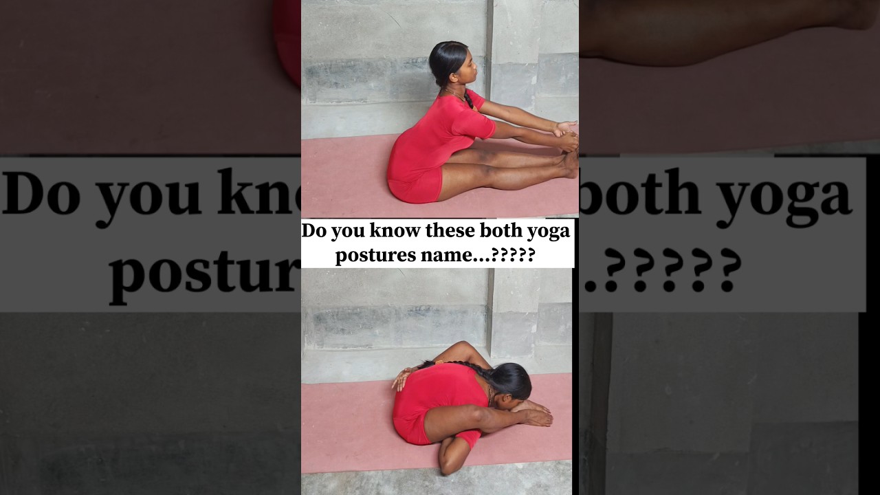 #helpful #yoga #posture #waistpain #pachimottasana # KURMASANA