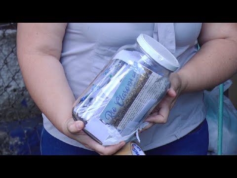 Prefeitura de Rio Claro cria cápsula do tempo