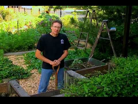How to Make a Compost Pile