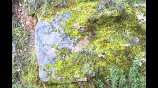 Blue Sky Ecological Reserve & LakeRamona