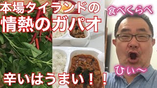 [バンコクフード]タイランド！情熱のガパオライス！いろんなの食べ比べしたら見えてきた。震えがとまらない。スパイシー中毒