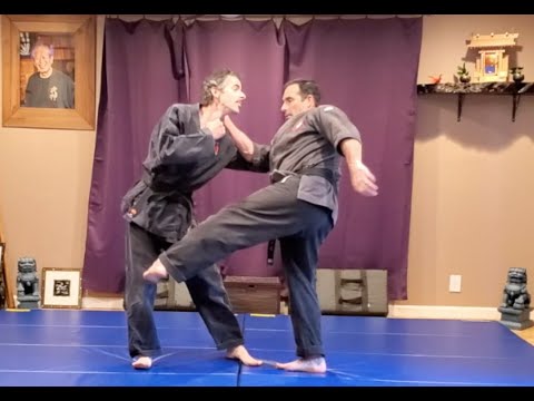 Koto Ryu Fighting Form “Yokuto”