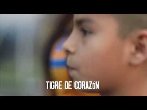 LIBRES Y LOKOS HIT DE LA HINCHADA - SONRÍE