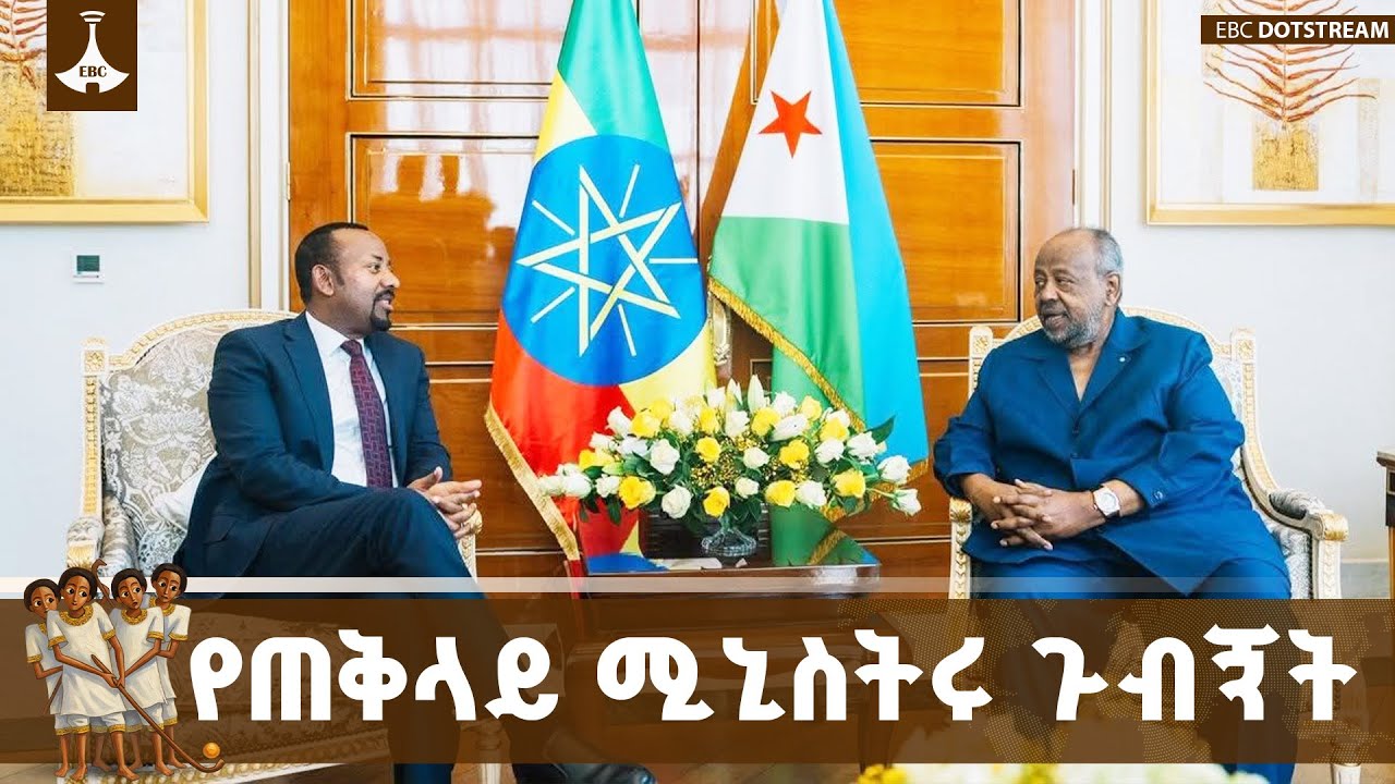 ጠቅላይ ሚኒስትር ዐቢይ አሕመድ (ዶ/ር) በጅቡቲ የተደረገላቸው አቀባበልና ያደረጉት የ?