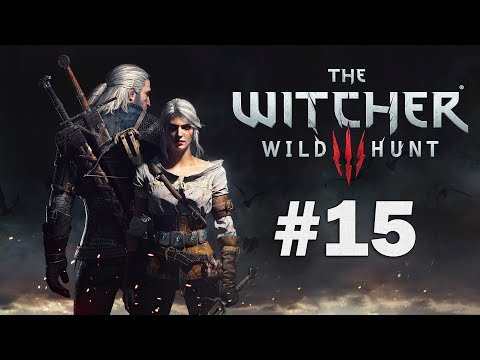 The Witcher 3 Wild Hunt - Playthrough Part 15 - Wandering in the Dark