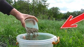 Приманка из семечек для рыбы