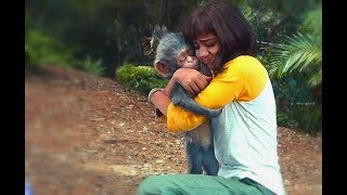 Mirá el trailer del live-action de 'Dora La Exportadora'