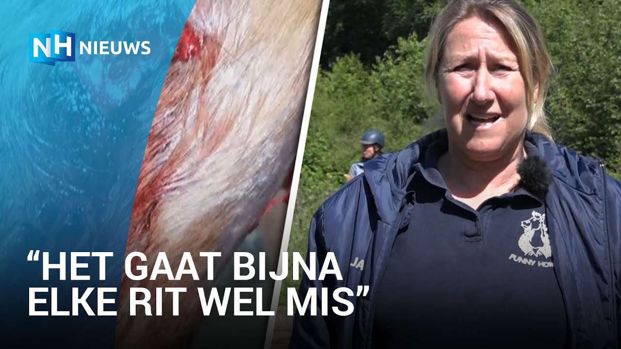 Honden terroriseren ruiters en hun paarden in het Amsterdamse Bos