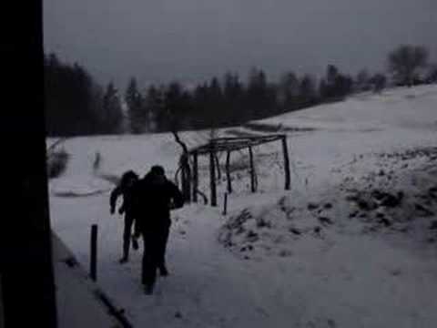 THE BEST OF COBRA 33 2007