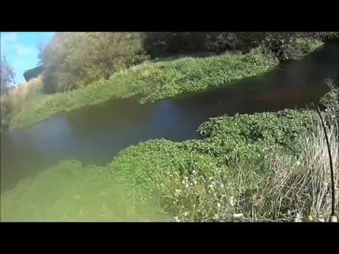 Fly Fishing in a small spring creek catch Good size brown Trout.www.canterburyfishingguides.co.nz