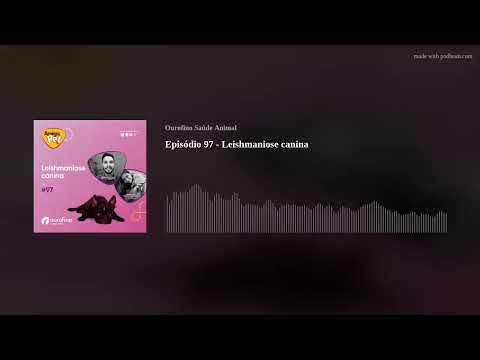 Episódio 97 - Leishmaniose canina