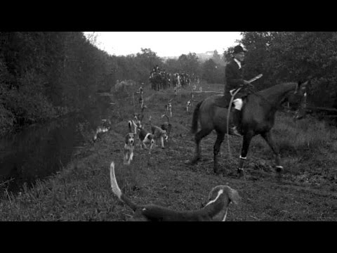 200 Packs of Fox Hounds Begin Season's Sport