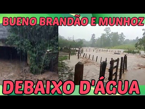 Bueno Brandão e Munhoz debaixo d'água 
