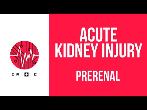 Prerenal causes of kidney failure - the Acute Kidney Injury series