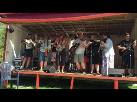 Ransäter dragspelsstämma 2015. Bälgpolarna