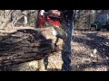 Deereseason S Shindaiwa 500 Chainsaw