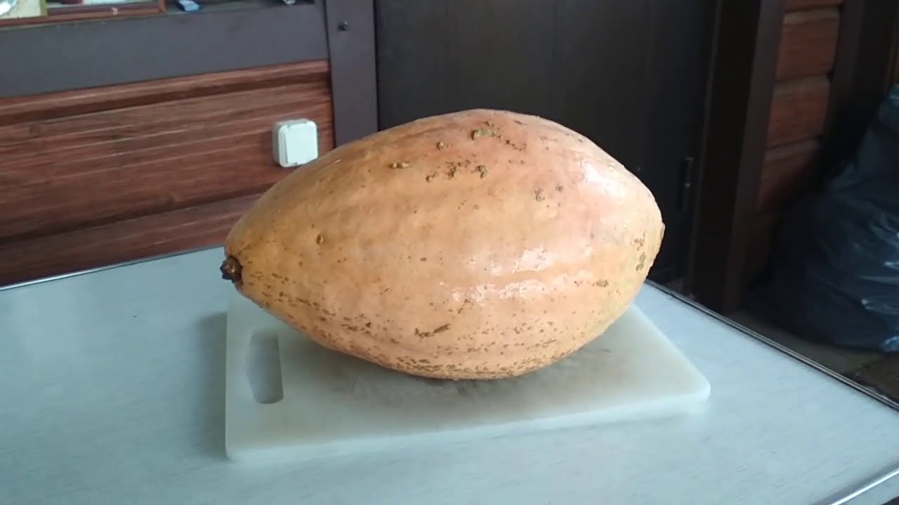Тыква розовая банана через год хранения.