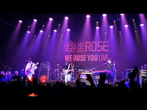 191114 The Rose (더 로즈) - I.L.Y. in Amsterdam