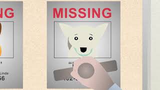 Hope for the best, but plan for the worst - microchip your pet!