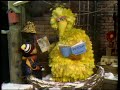 Classic Sesame Street Big Bird S Poem Jackrabbit 1972