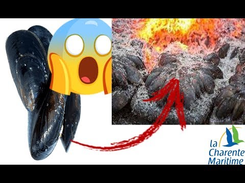 veritable recette de l'eclade  charentaise / true recipe of the Charentaise Eclade