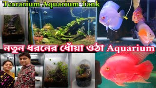 Terrarium Plants Price | Aquarium Plants Price |Aquarium Fish Shop | Aquarium Fish | Aquarium Plants