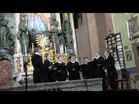 ŽVS Biseri 3 - Zlatnih krila