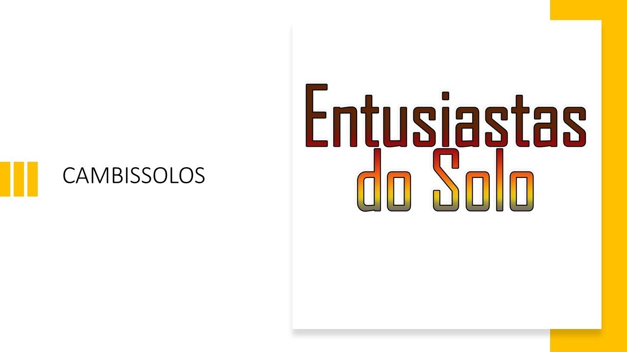 Ordens de Solos do Brasil - Cambissolos