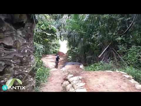 PCP Trail 15 Bottom section gap jumps