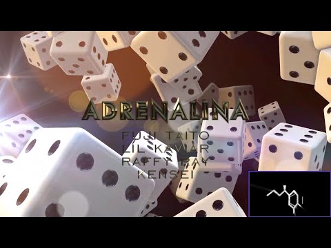Adrenalina - fujitaito lilkaviar raffyray kensei (Lyric Video)