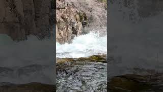 lower fall, McCloud falls, Mount Shasta #mountshasta #mccloudfalls #シャスタ #waterfall